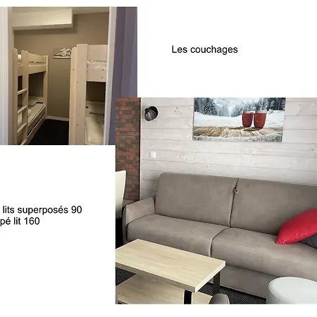 Lägenhet A Gourette Avec Piscine, Animaux Admis, Pour 6 Pers. - Fr-1-860-44 *