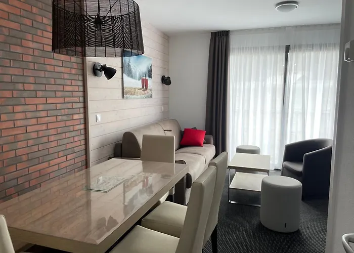 Apartment A Gourette Avec Piscine, Animaux Admis, Pour 6 Pers. - Fr-1-860-44 *