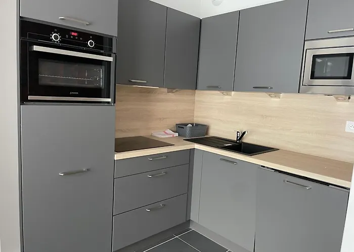 Apartment A Gourette Avec Piscine, Animaux Admis, Pour 6 Pers. - Fr-1-860-44