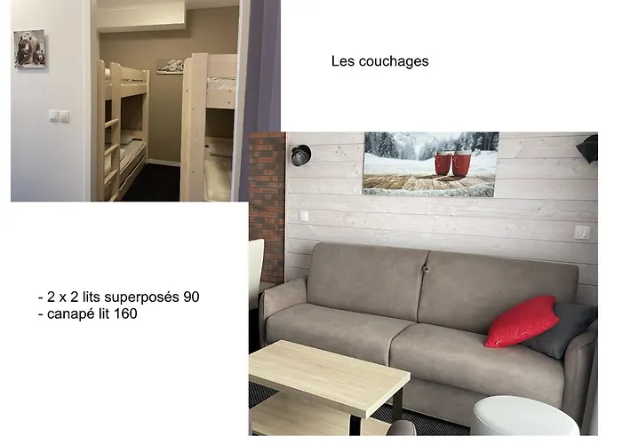 Apartment A Gourette Avec Piscine, Animaux Admis, Pour 6 Pers. - Fr-1-860-44 *